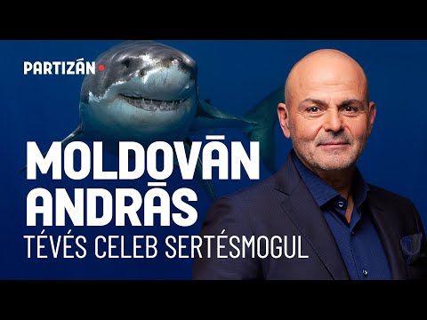 Moldován András üzletember: a tízparancsolatban sincs, hogy “kérlek szépen” 