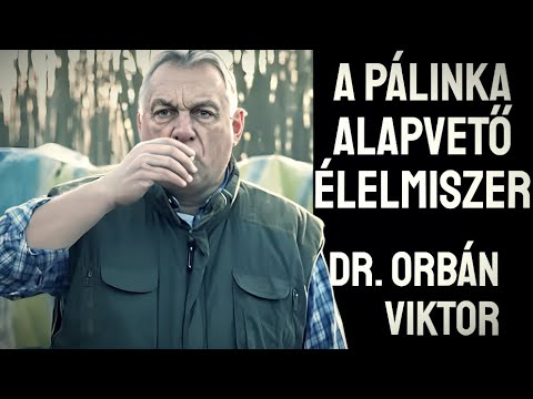 Alkoholfogyasztást támogató magyar állam: válságot uraló Orbán, drogháború és szakralizált pálinka 